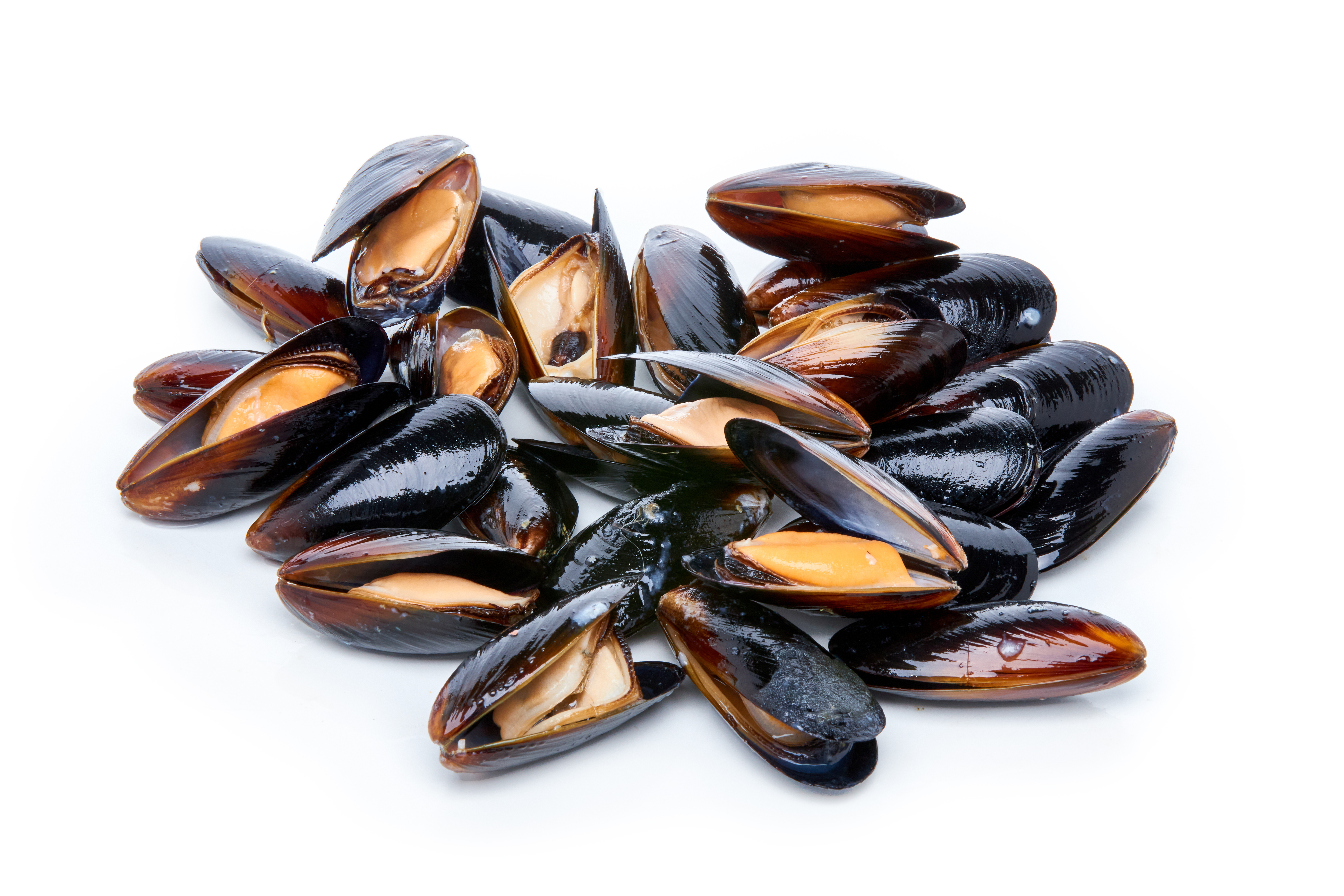 Ocean Gems Whole Black Mussel Frozen 10pcs (M Size)